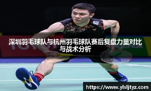 深圳羽毛球队与杭州羽毛球队赛后复盘力量对比与战术分析